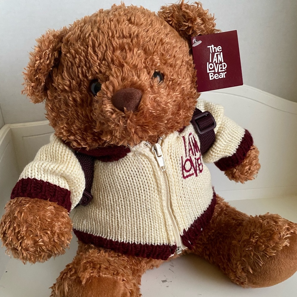 HELZBERG DIAMONDS I AM LOVED TEDDY BEAR With Acces